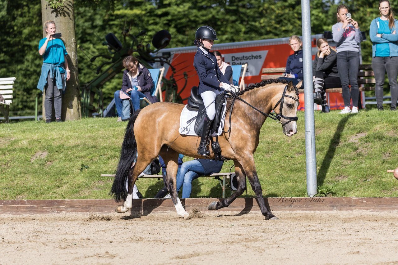 Bild 477 - Pony Akademie Turnier
